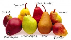 There are several varieties of pears, but Bartletts work best for a sandwich