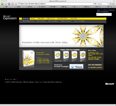 Expression website screenshot